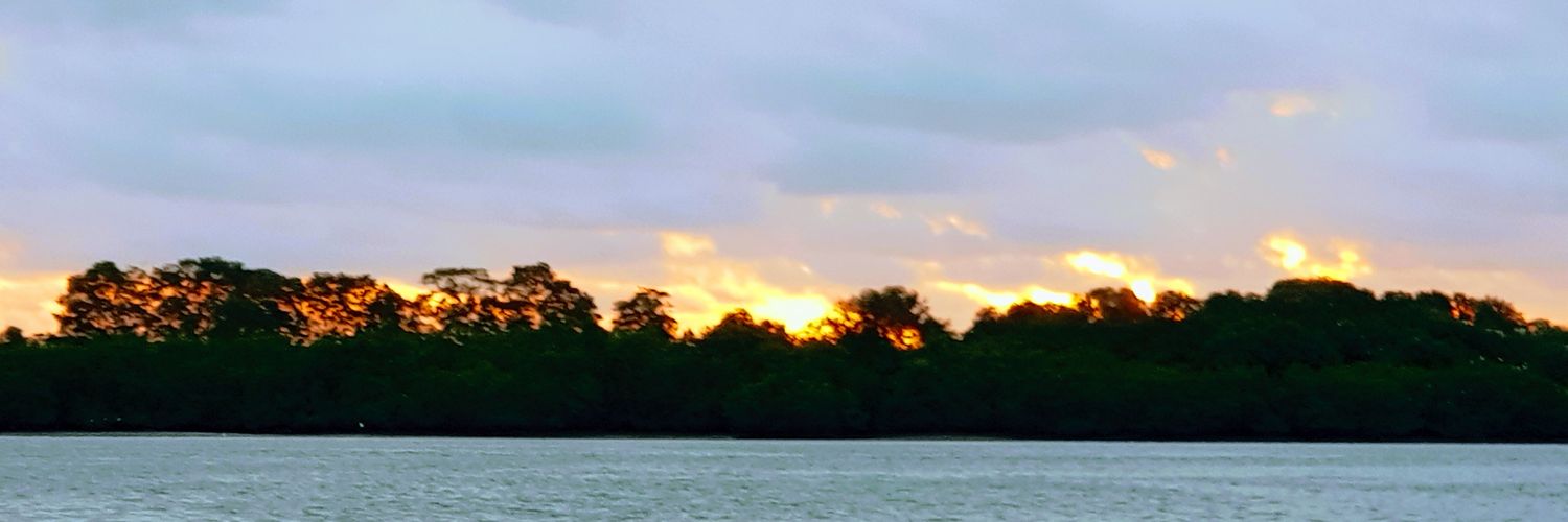 pguerron's profile banner image