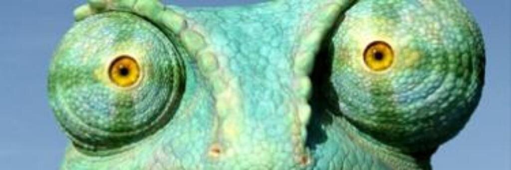 Criminalmanko's profile banner image