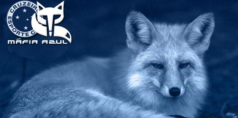 Ferrarazze's profile banner image