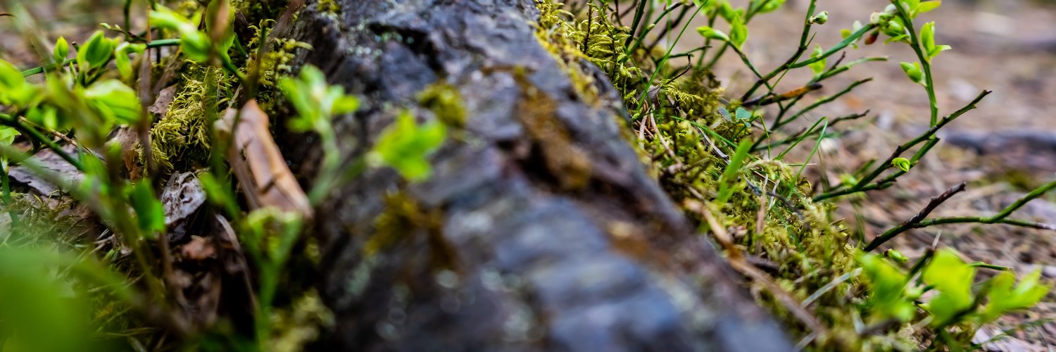 Divyaratan Kumar, Ph.D. banner