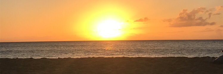 RayRT313's profile banner image