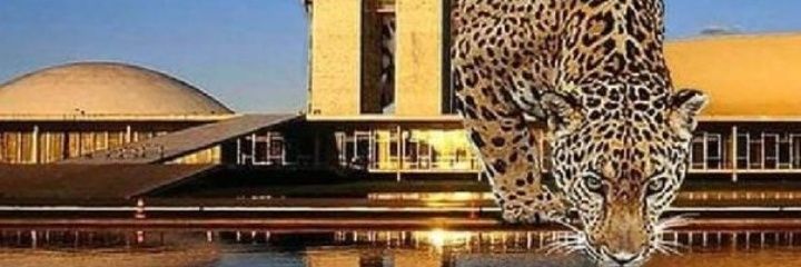 AzziMarilda's profile banner image