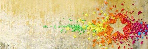 limonadita's profile banner image