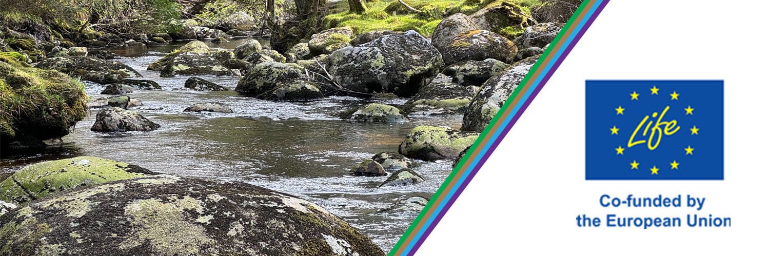Waters of LIFE's banner
