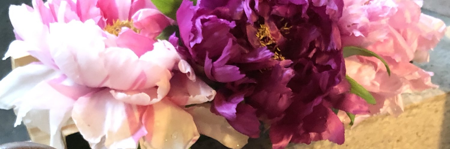 RoseBlasse's profile banner image