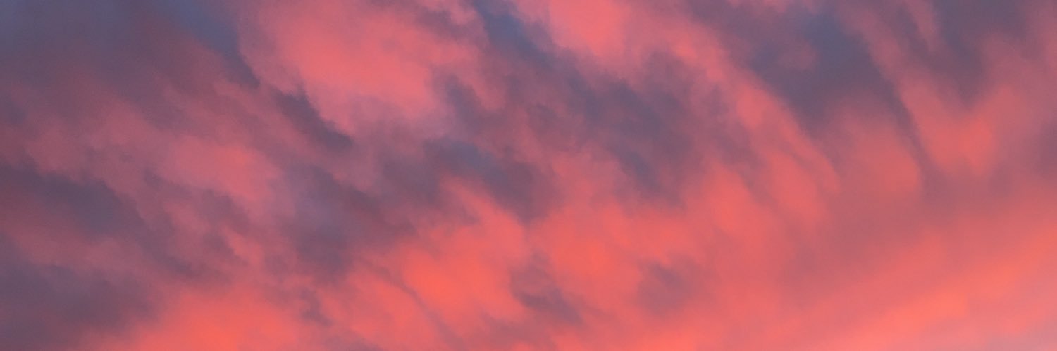 elsabeth99's profile banner image