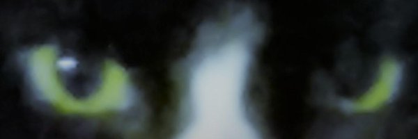 avri Profile Banner
