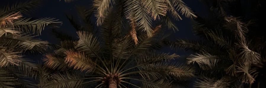 snxc_2's profile banner image