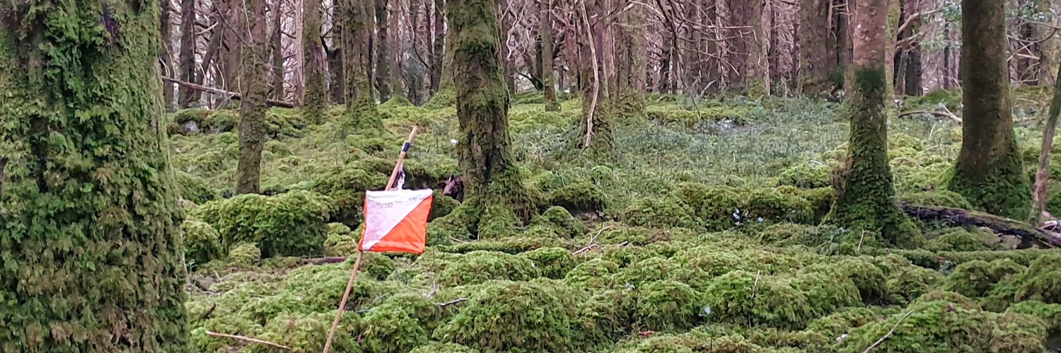 KerryO banner