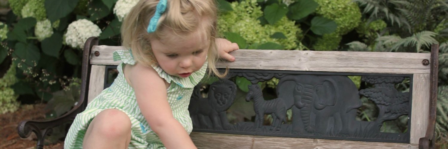 Scott Ferguson banner