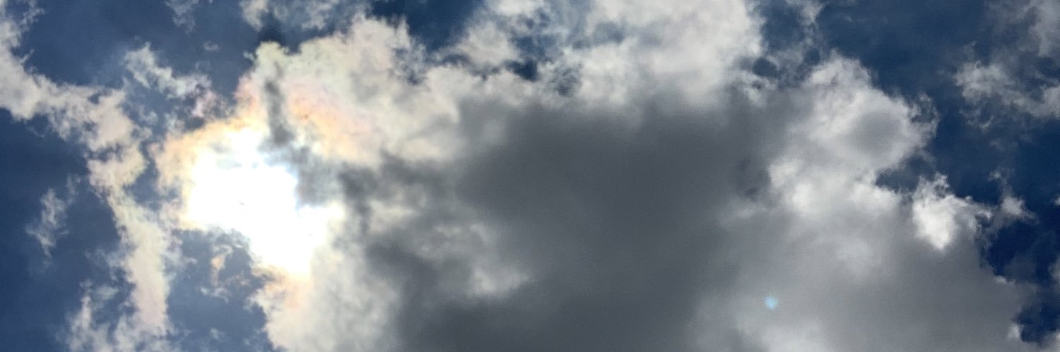 shellbeshelbs_'s profile banner image