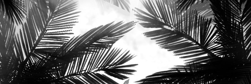 ІИTEЯЅECT's banner