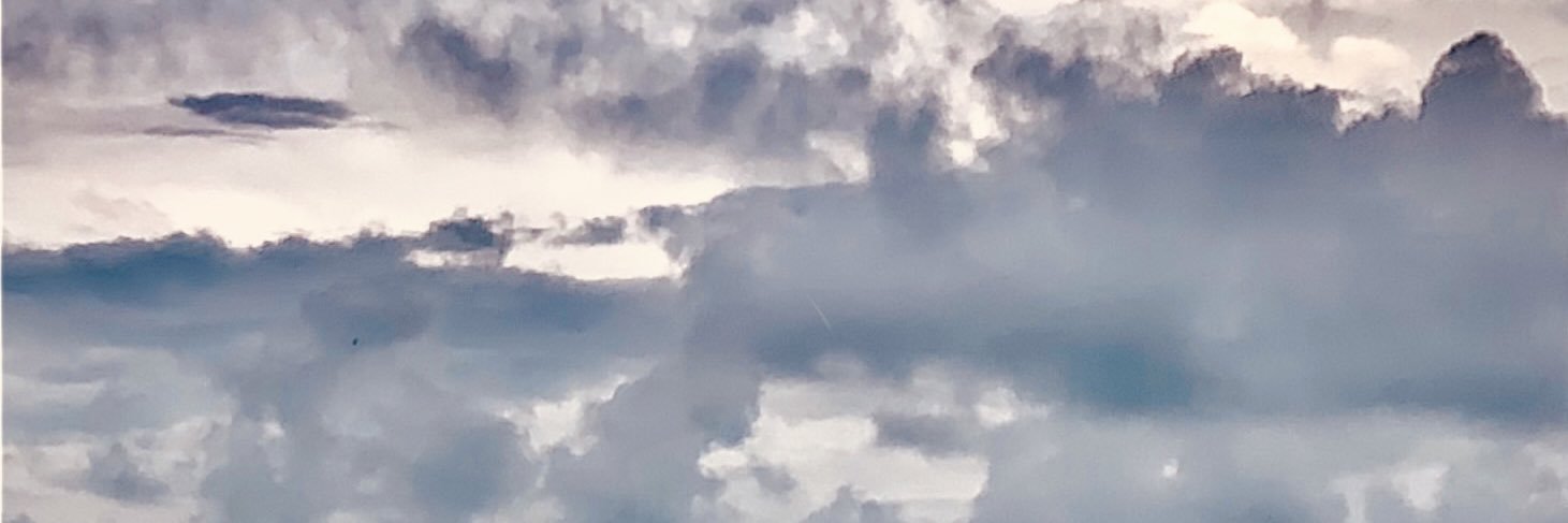caleb banner