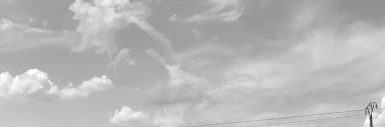 qm banner