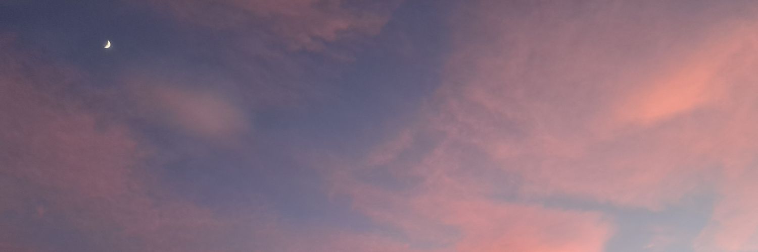 Ronnie banner