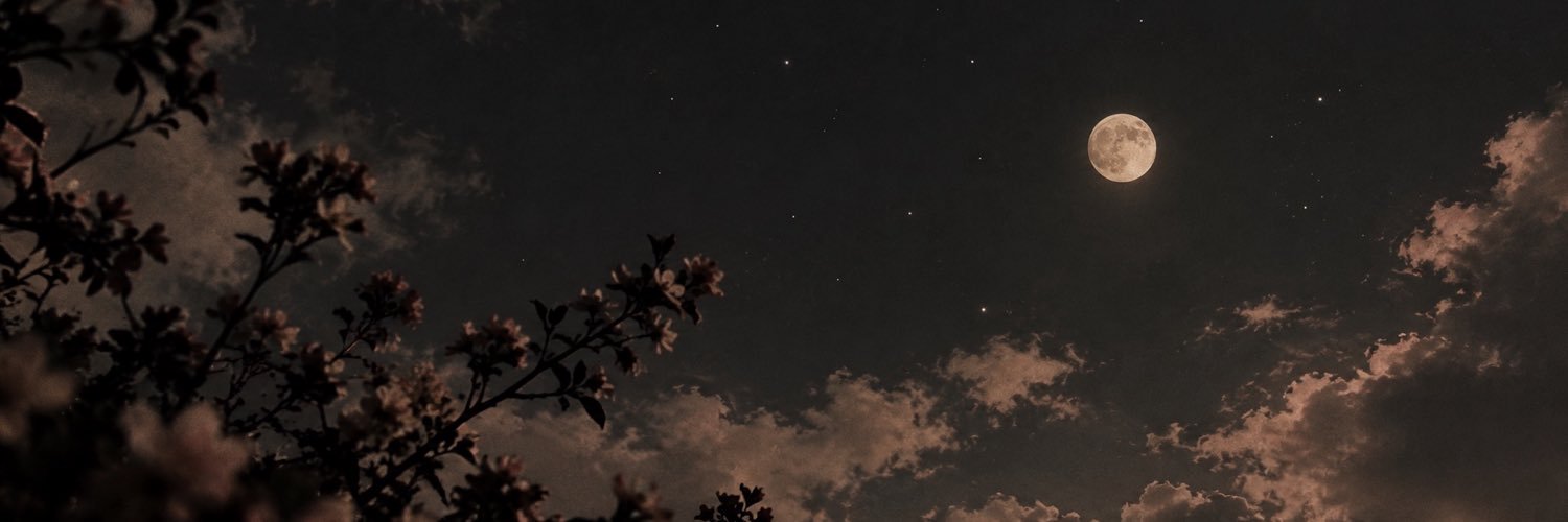 _melusoul's profile banner image