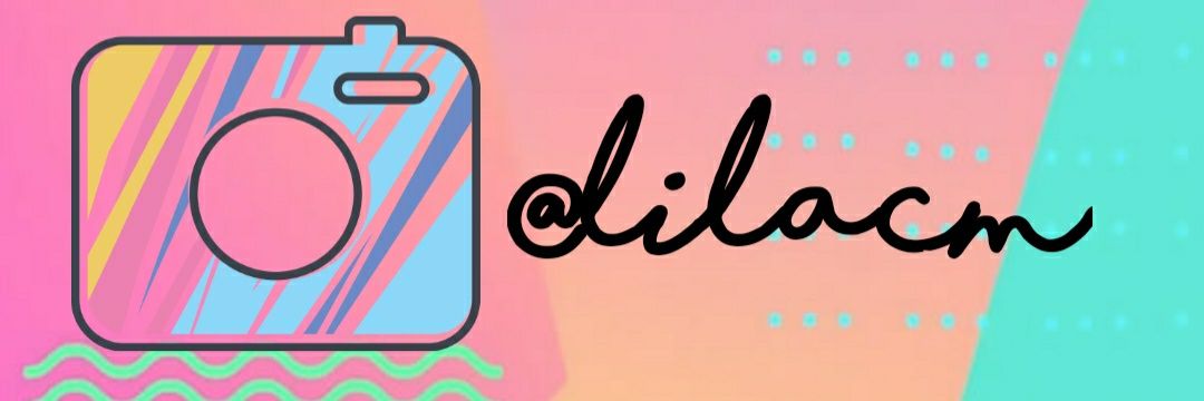 lilacm's profile banner image