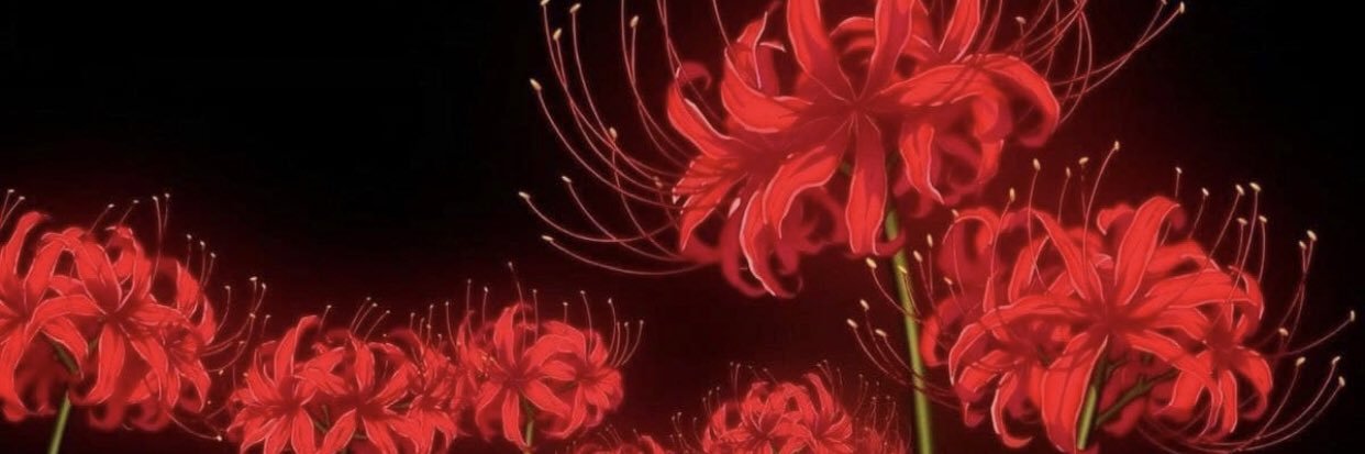 Unknown50455047's profile banner image