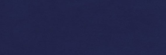 James's banner