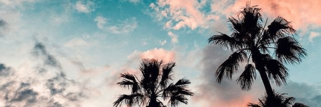 lottieeeaaa's profile banner image