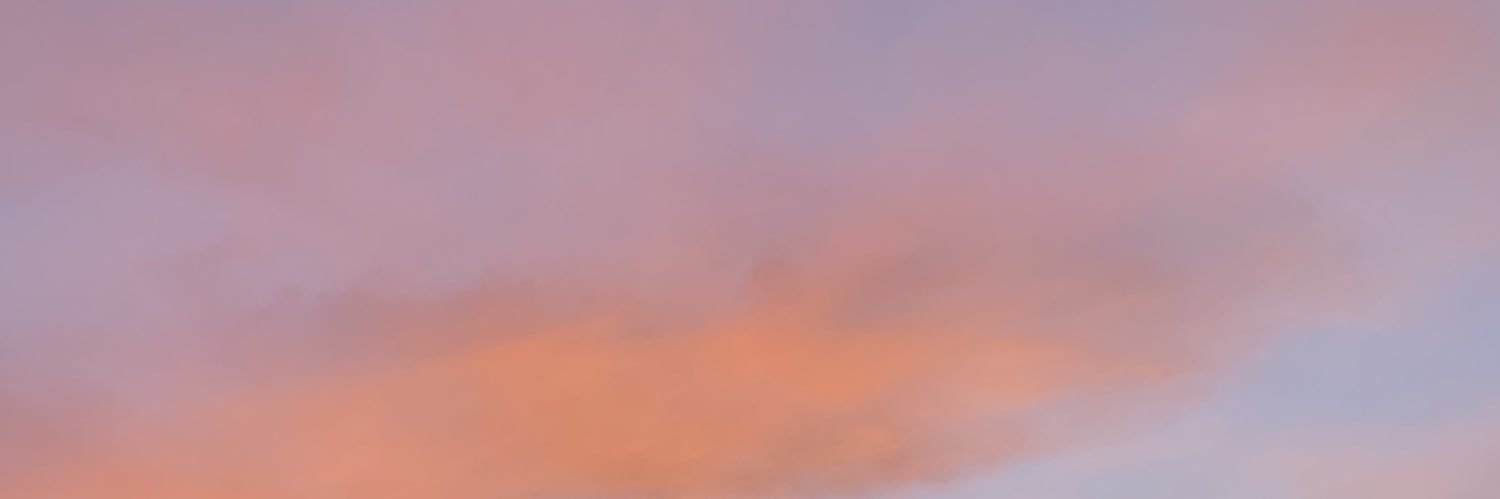 gracebauerr's profile banner image