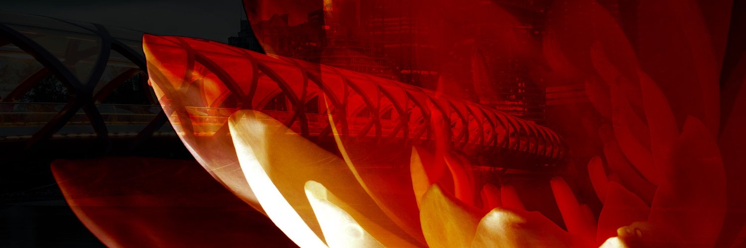 Fire Lotus Creative banner