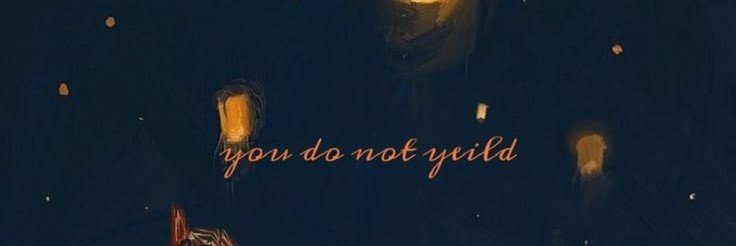 lysareading's profile banner image