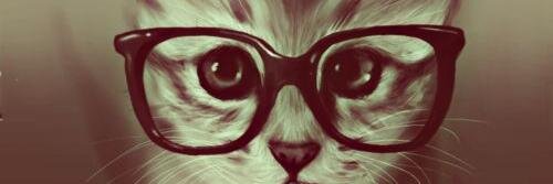 alanabraidot's profile banner image