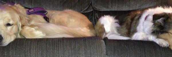 BorisRorer Profile Banner