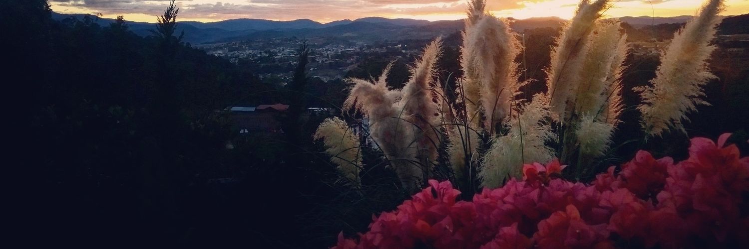 aiiramsim's profile banner image