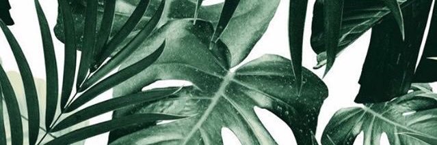 Pilaploza's profile banner image
