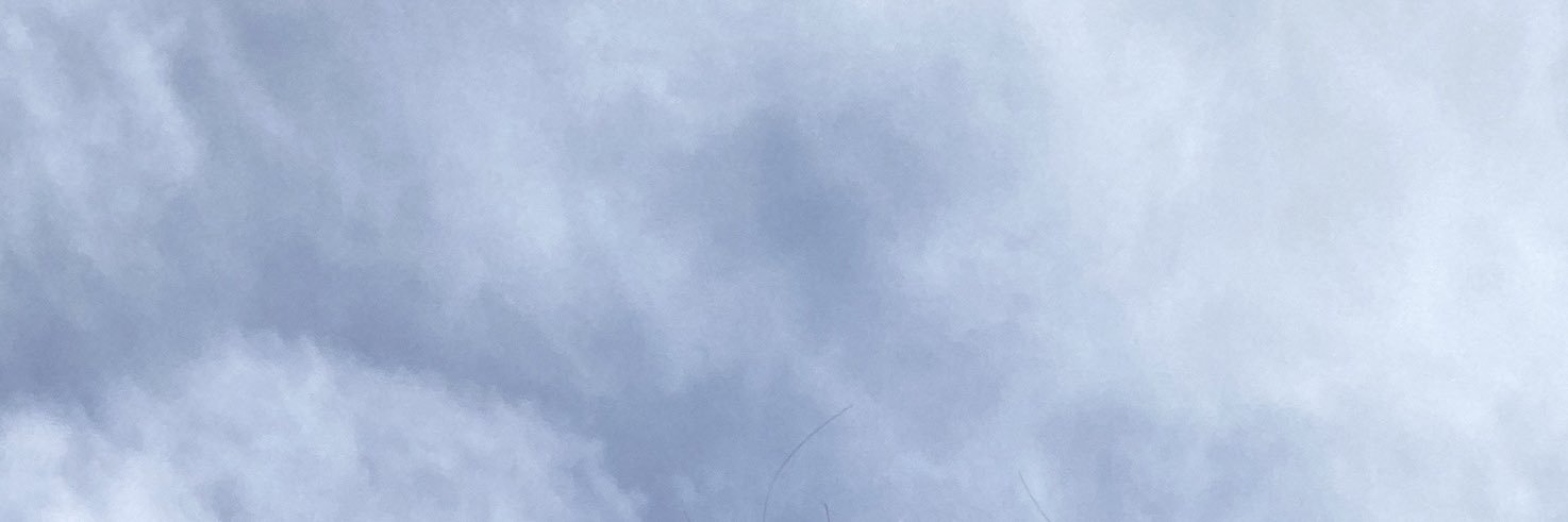 Rhys banner