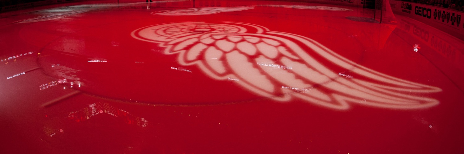 Redwings and Sports things banner