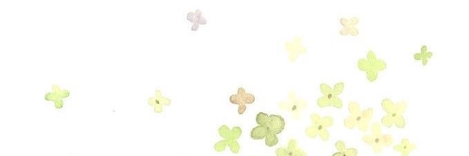 pash ┊┊. 🍒 banner