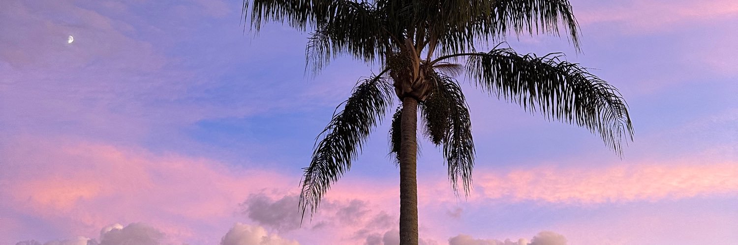 LilyWinn's profile banner image