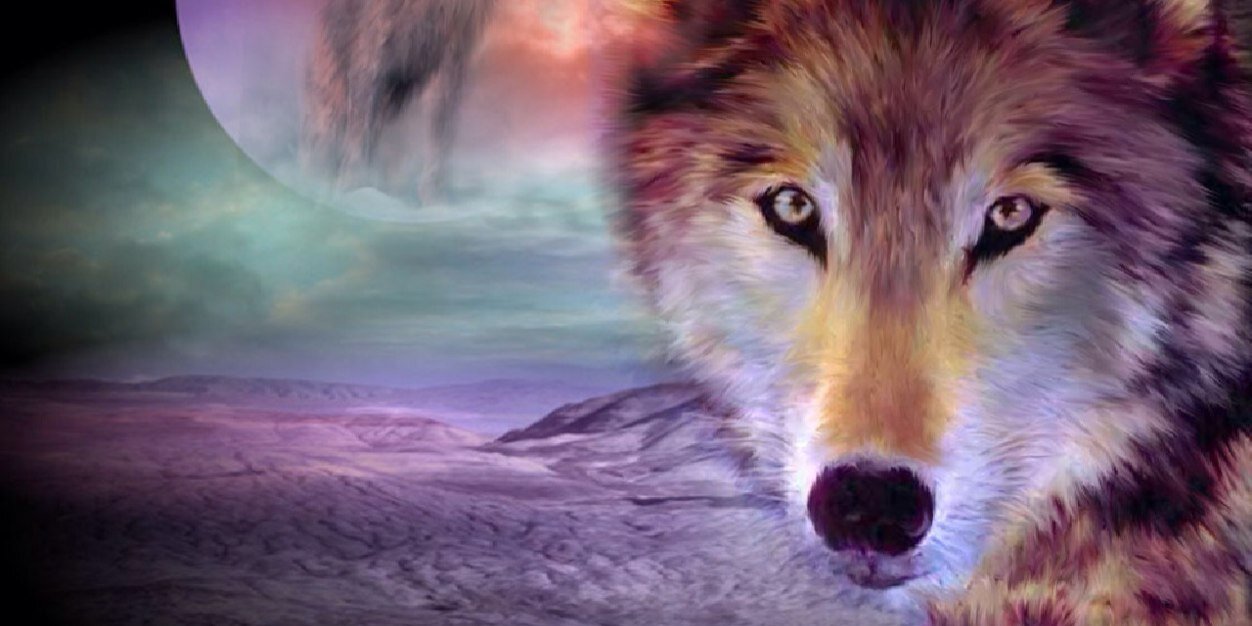 WolfzEnt's profile banner image