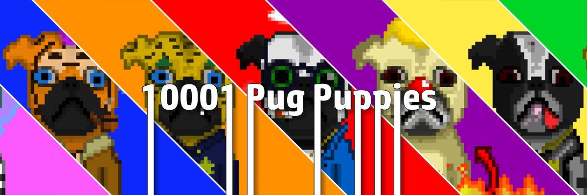 10001 Pug Puppies banner