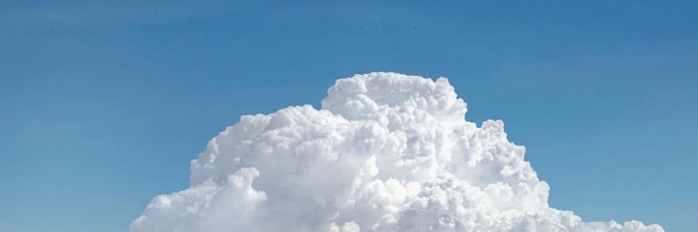 𝘤𝘪𝘤𝘢𝘥𝘢 banner