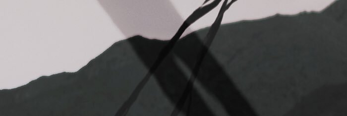 SCMint's profile banner image
