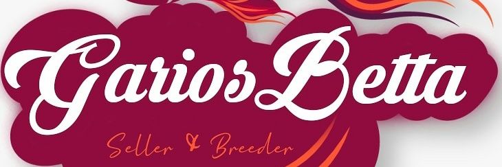 egario's profile banner image