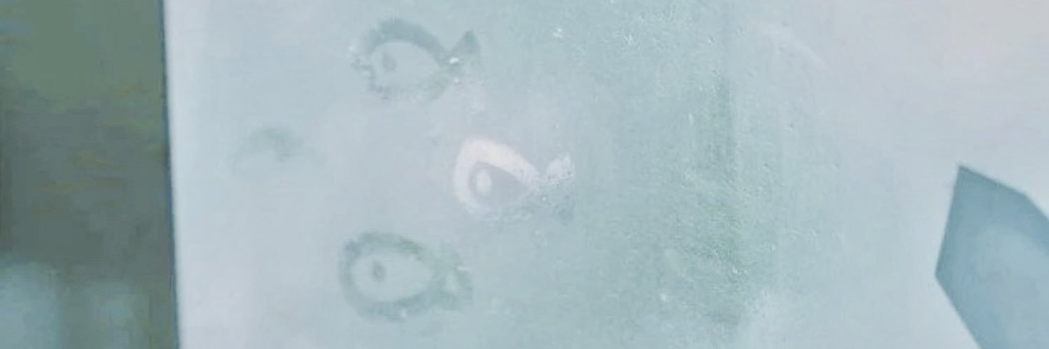 odxc banner