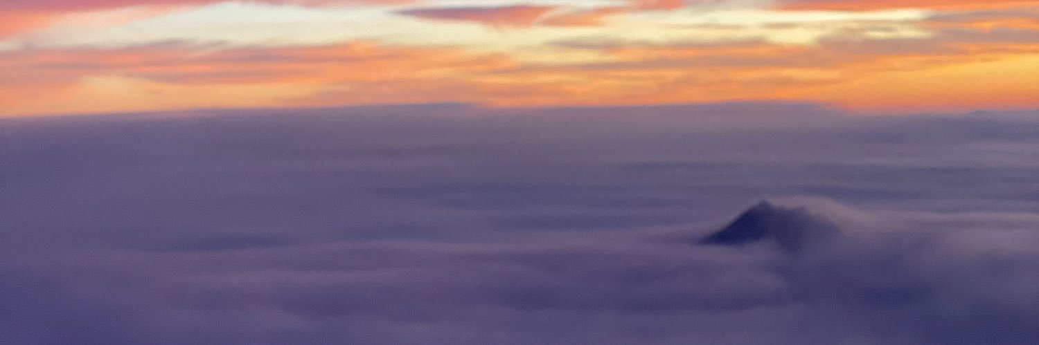 monique_lecomte's profile banner image