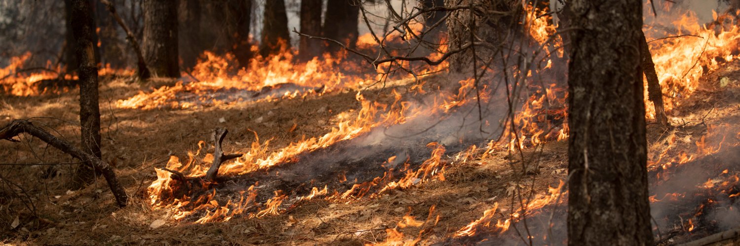 Climate & Wildfire Institute banner