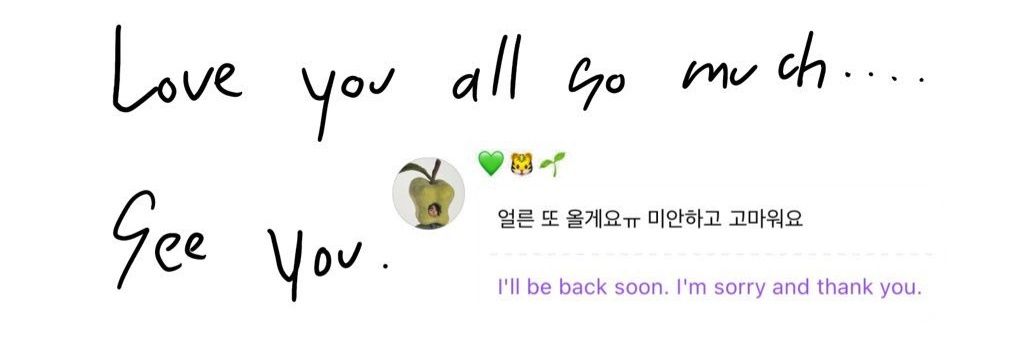 riri saw treasure banner