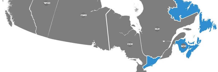 ECDCMA's profile banner image