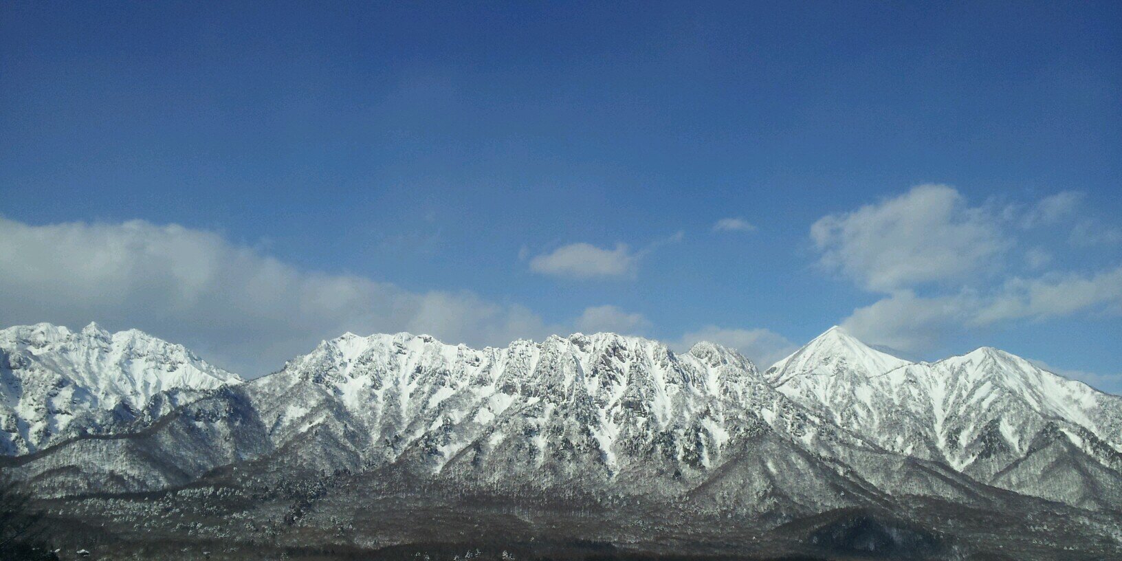 ごっぴー banner