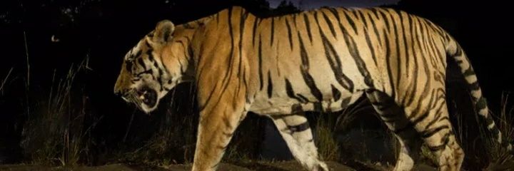 KaMiLe56's profile banner image