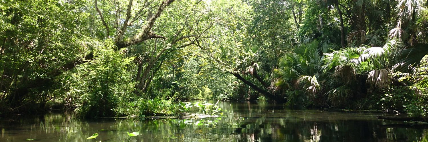 JohnnyBones banner