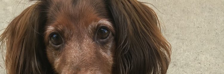 thomas_nate3's profile banner image