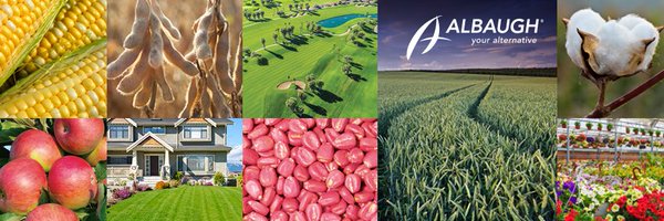 AlbaughLLC Profile Banner